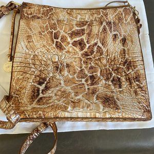 Katie Camel Safari Melbourne.